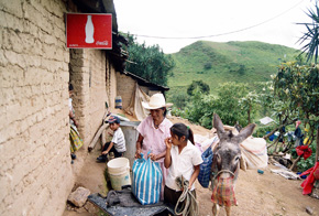 Nahualt-Guerrero6