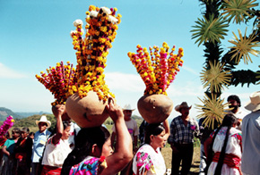 totonaques-Sierra norte Puebla